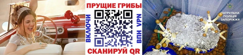 Псилоцибиновые грибы MAGIC MUSHROOMS  Купить закладки  Горнозаводск 